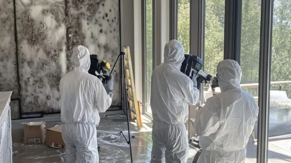 Crew in white suits documenting a mold-affected room