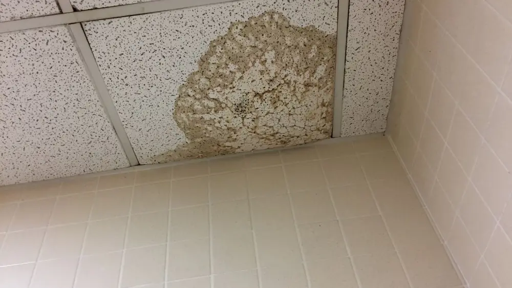 Water stain on a ceiling tile above a tiled room
