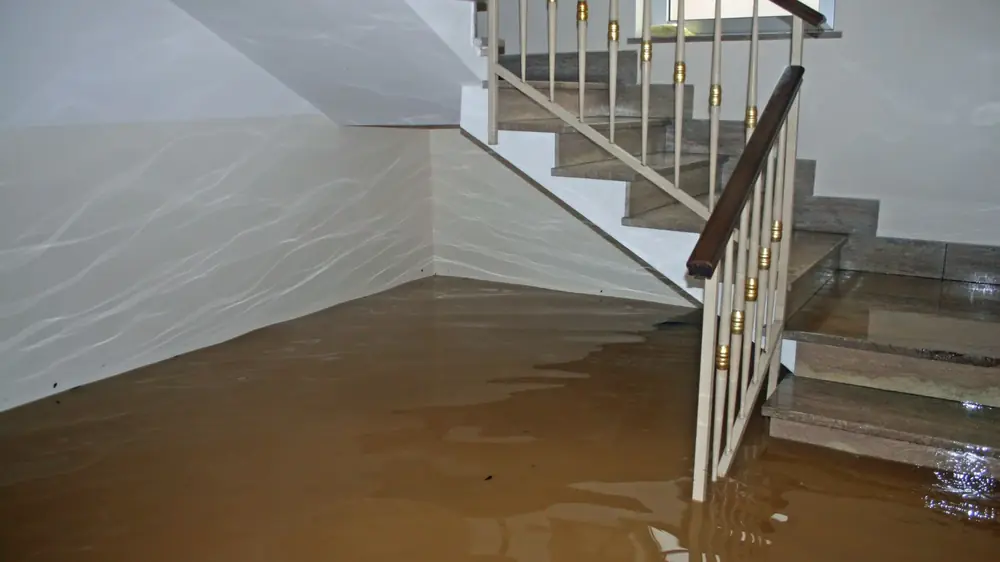 Water at the bottom of a staircase in a finished basement