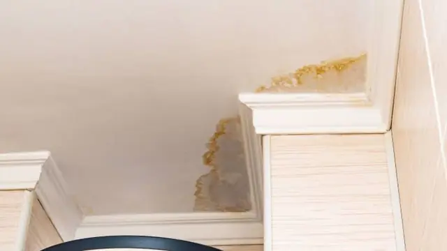 Small water stain at the corner of a ceiling beside crown trim